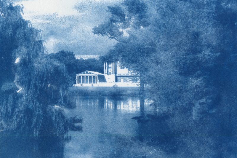 experimental photography, cyanotypes