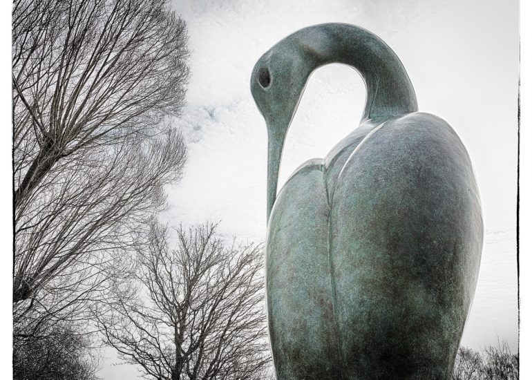 project, sculpture by the lakes