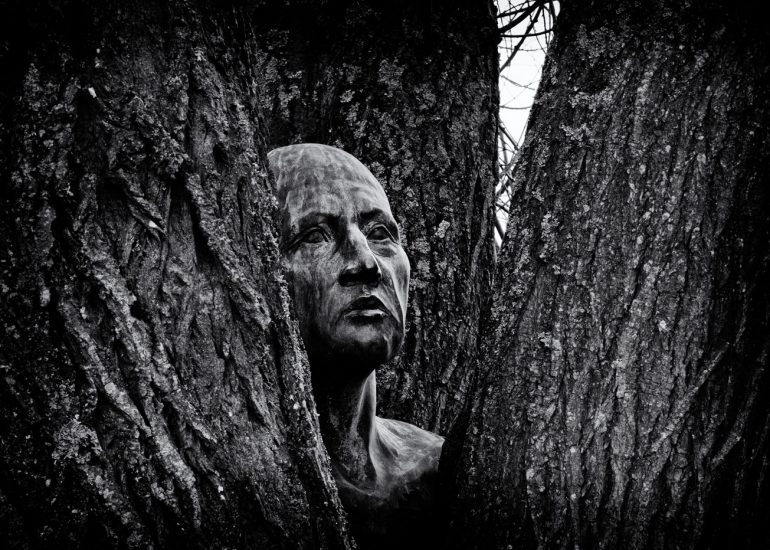 project, sculpture by the lakes