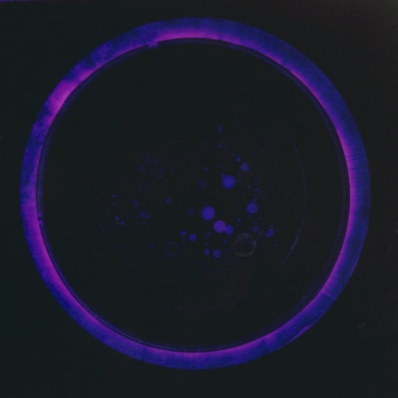 Experimental Photography, photogram