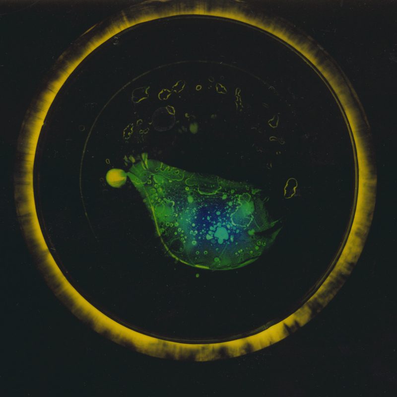 Experimental Photography, photogram