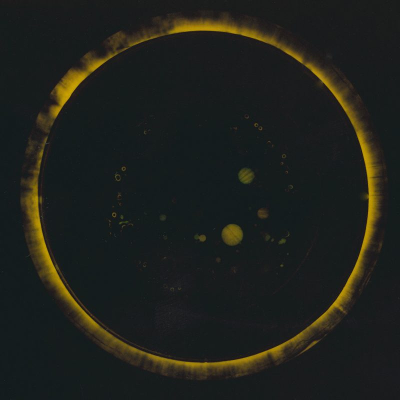 Experimental Photography, photogram