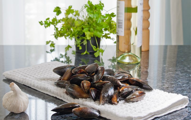 still life, food photography