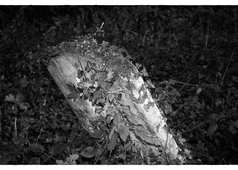 Projects, graveyard photography