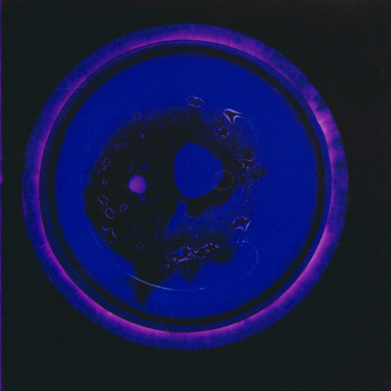 Experimental Photography, photogram
